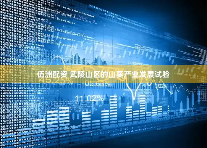 伍洲配资 武陵山区的山葵产业发展试验