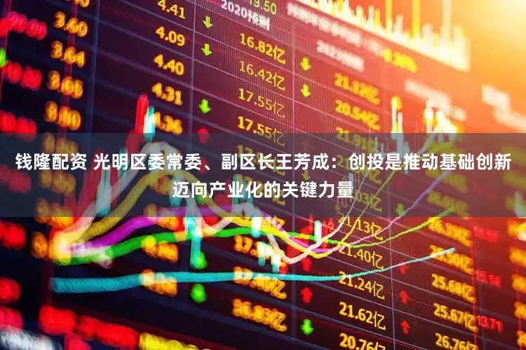 钱隆配资 光明区委常委、副区长王芳成：创投是推动基础创新迈向产业化的关键力量
